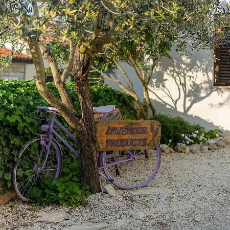 Apartamento Lavanda & Sveti Lovreč Pazenatički